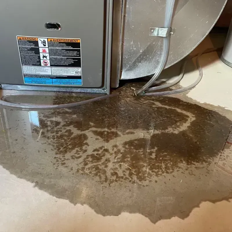 Appliance Leak Cleanup in Montrose-Ghent, OH